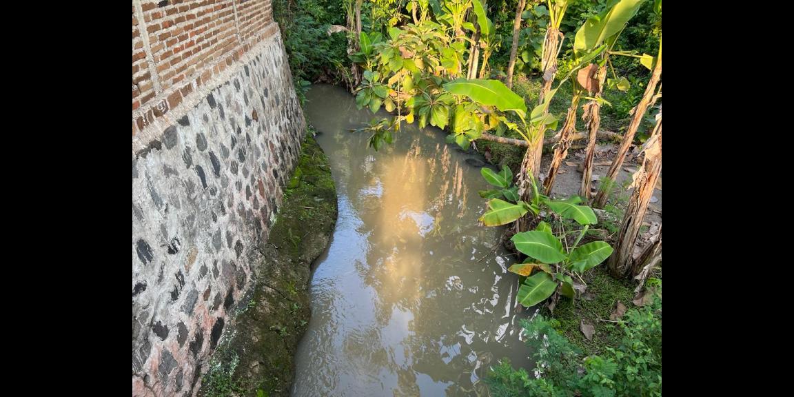 Dijual Rumah Asri Tengah Sawah Kedawung Sragen Dijual Rumah Asri Tengah Sawah Kedawung Sragen