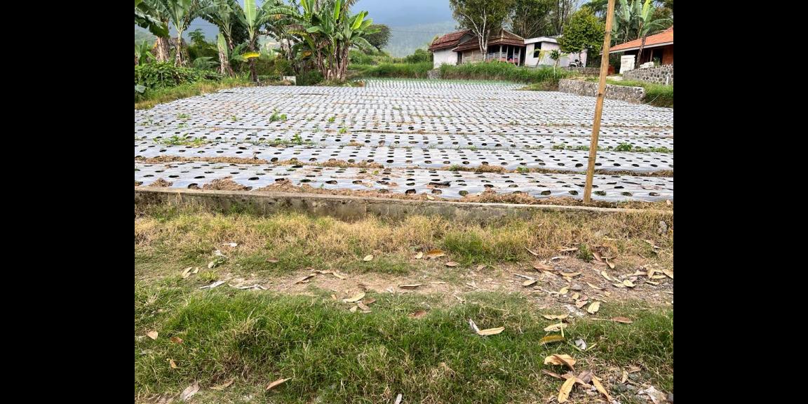 Tanah 253m² Cocok Dibangun Villa Kemuning Ngargoyoso Tanah 253m² Cocok Dibangun Villa Kemuning Ngargoyoso