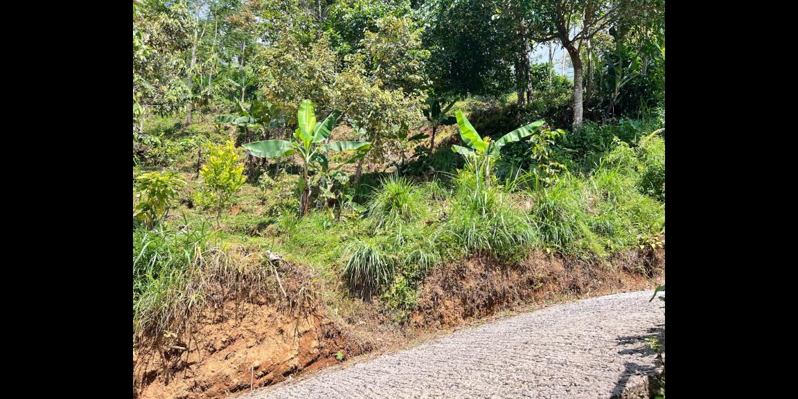 Tanah View Istimewa 1370m² 250 Juta Karanganyar  Tanah View Istimewa 1370m² 250 Juta Karanganyar