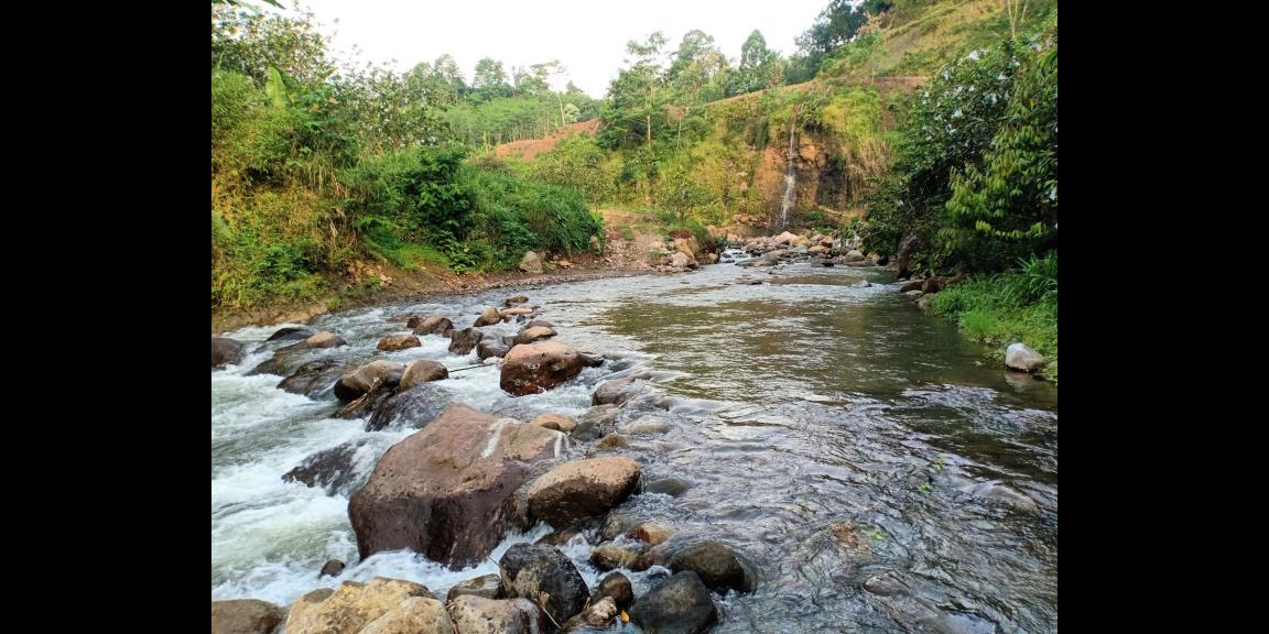 Tanah Cocok untuk Wisata / dibangun Hotel Ngargoyoso Karanganyar Tanah Cocok untuk Wisata / dibangun Hotel Ngargoyoso Karanganyar
