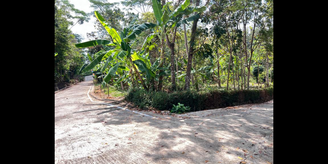 Tanah Hook Super Datar 900m² Utara Pasar Mojogedang Tanah Hook Super Datar 900m² Utara Pasar Mojogedang