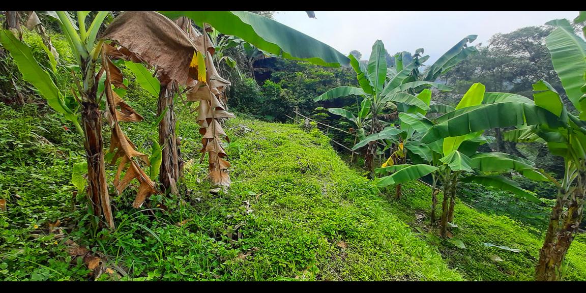 TANAH VIEW LEMBAH PAKAR KAWASAN DAGO BANDUNG TANAH VIEW LEMBAH PAKAR KAWASAN DAGO BANDUNG