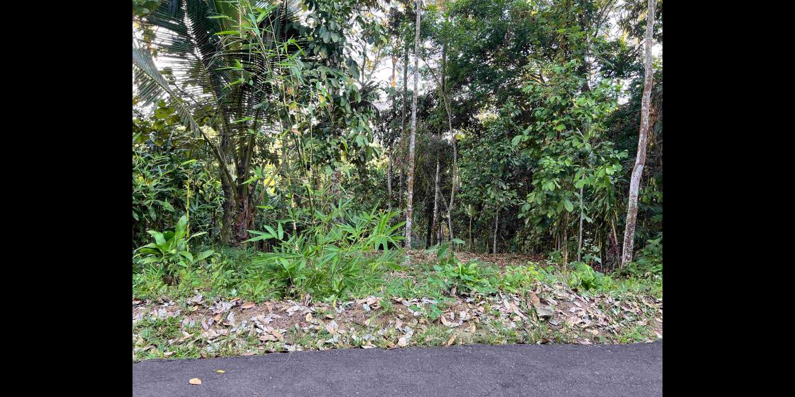 Dijual Kebun Durian Jl Karangpandan-Tawangmangu Dijual Kebun Durian Jl Karangpandan-Tawangmangu