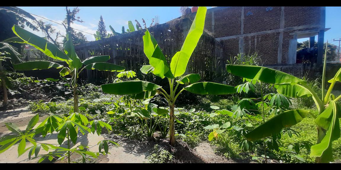 TANAH HUNIAN DAN KOMERSIAL SAYAP BOJONG KONENG BANDUNG TANAH HUNIAN DAN KOMERSIAL SAYAP BOJONG KONENG BANDUNG