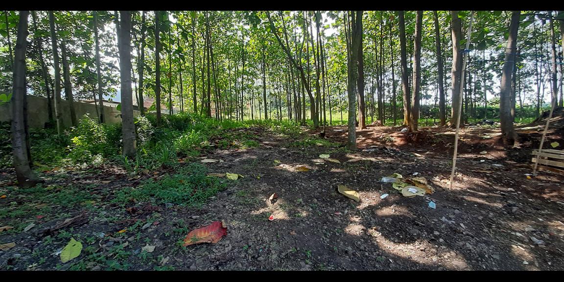 TANAH KOMERSIAL MAIN ROAD RAYA BATUJAJAR BANDUNG BARAT TANAH KOMERSIAL MAIN ROAD RAYA BATUJAJAR BANDUNG BARAT