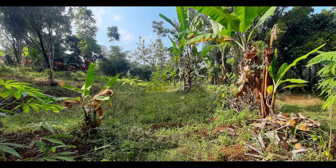 TANAH KOMERSIAL MAIN ROAD ARCAMANIK SINDANGLAYA BANDUNG TANAH KOMERSIAL MAIN ROAD ARCAMANIK SINDANGLAYA BANDUNG