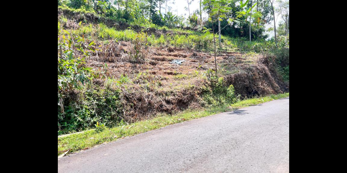 Tanah Tepi Jl DPU 1215m² Ngargoyoso, Karanganyar Tanah Tepi Jl DPU 1215m² Ngargoyoso, Karanganyar