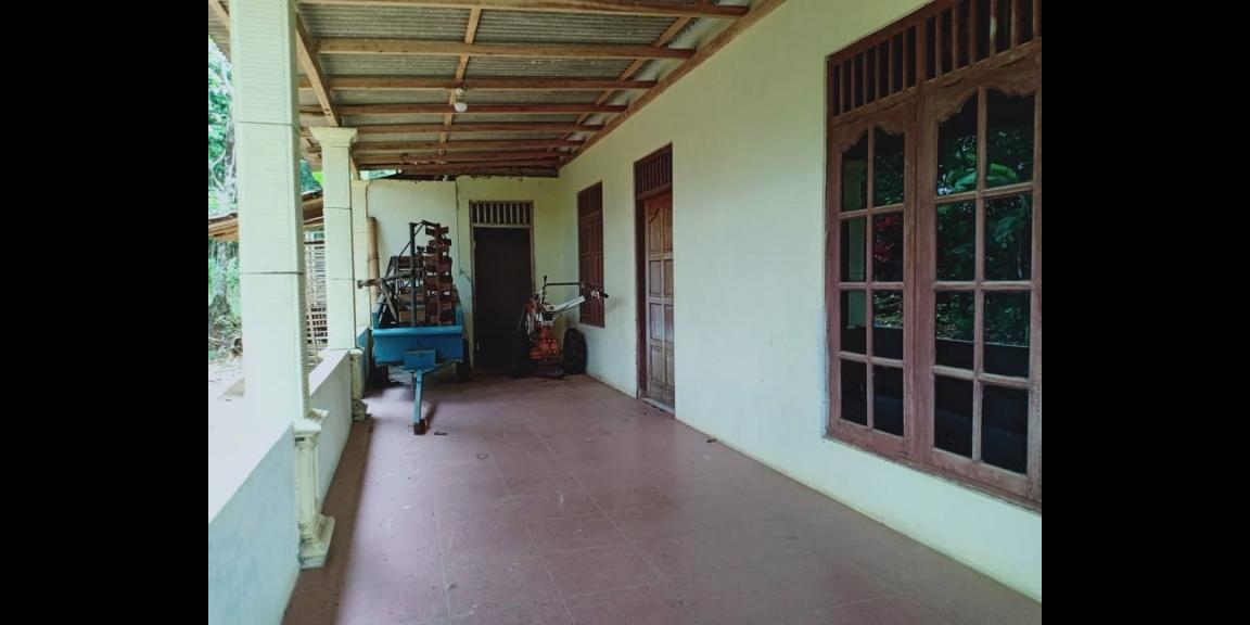 Rumah Murah 670m² Hanya 250 Juta Karanganyar Rumah Murah 670m² Hanya 250 Juta Karanganyar