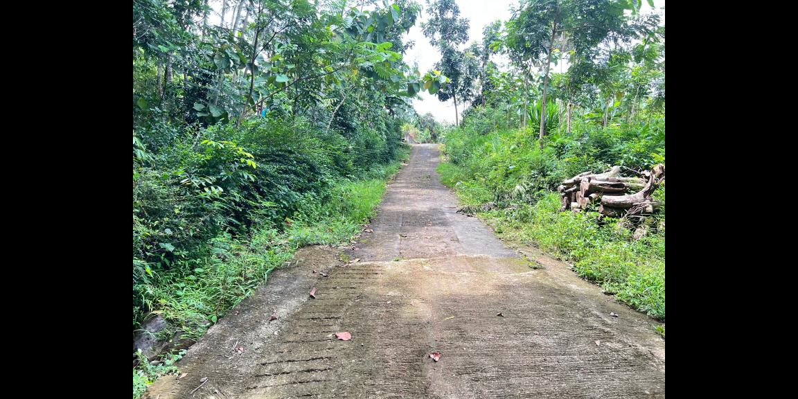 Tanah Subur 3265m² Hanya 70rb/m Kerjo, Karanganyar Tanah Subur 3265m² Hanya 70rb/m Kerjo, Karanganyar