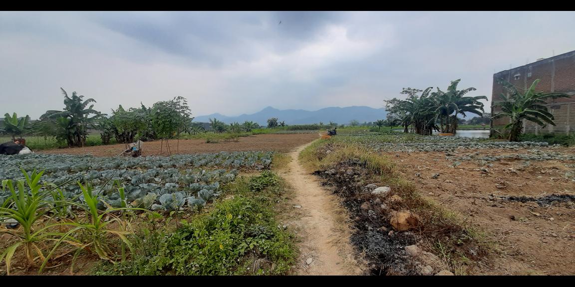 TANAH UNTUK PERUMAHAN DEKAT PODOMORO PARK BUAH BATU BANDUNG TANAH UNTUK PERUMAHAN DEKAT PODOMORO PARK BUAH BATU BANDUNG