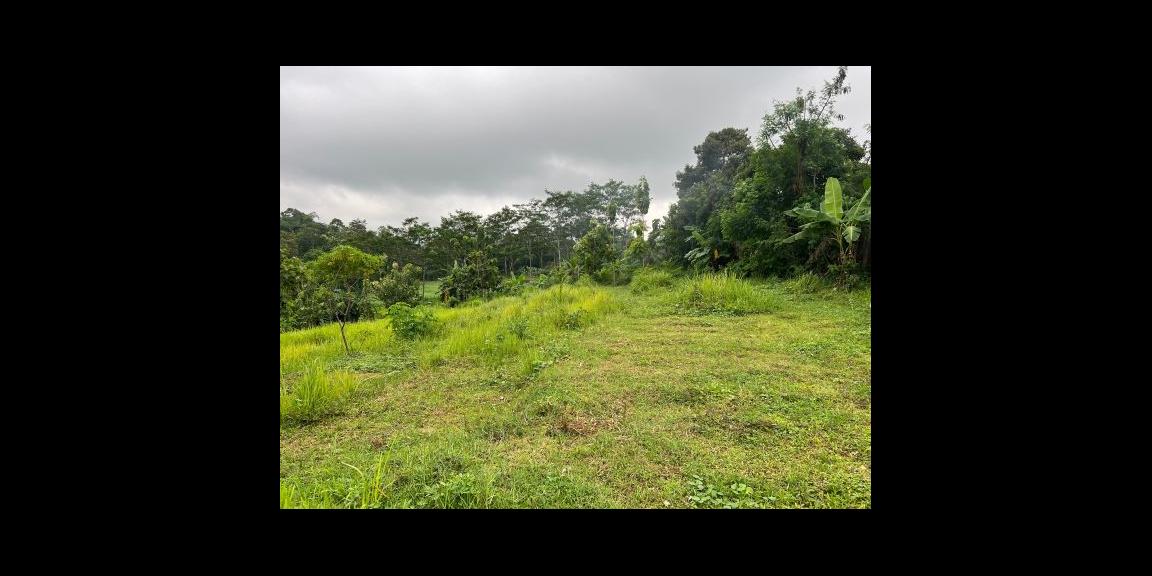 Tanah Super Datar 6723m2 Tepi Jl DPU Kerjo, Solo Tanah Super Datar 6723m2 Tepi Jl DPU Kerjo, Solo