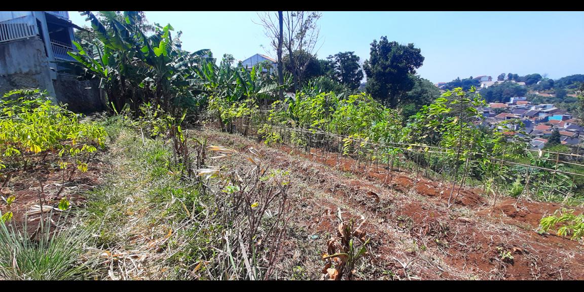 TANAH HUNIAN VIEW KOTA BANDUNG DI PASIR IMPUN BANDUNG TANAH HUNIAN VIEW KOTA BANDUNG DI PASIR IMPUN BANDUNG