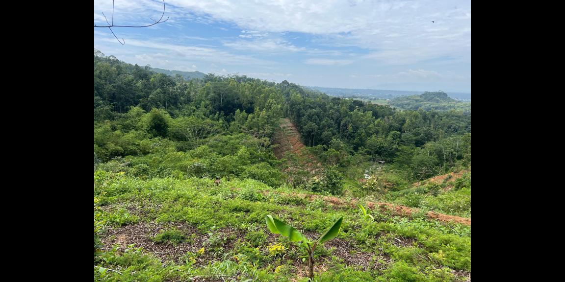 Tanah 2960m² Hanya 275 Juta Udara Dingin Karangpandan Tanah 2960m² Hanya 275 Juta Udara Dingin Karangpandan