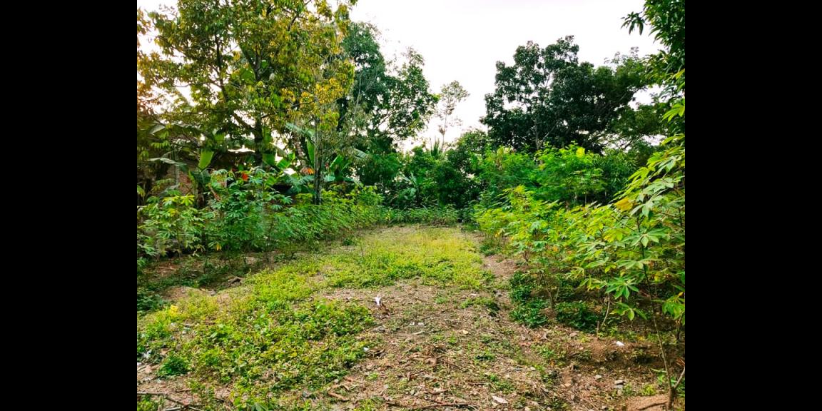 Pekarangan Datar 418m² Utara Pasar Batujamus Pekarangan Datar 418m² Utara Pasar Batujamus