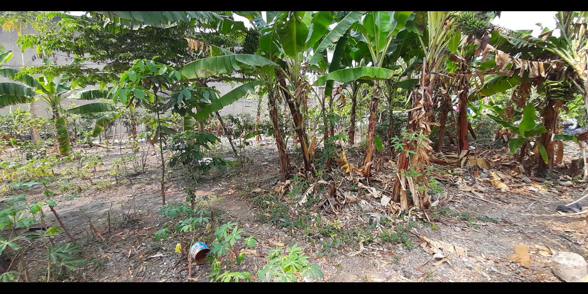 TANAH KOMERSIAL DI ANTAPANI BANDUNG TANAH KOMERSIAL DI ANTAPANI BANDUNG