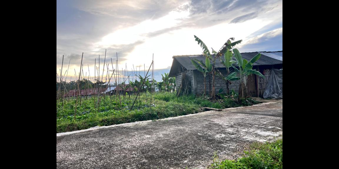 Tanah Udara Dingin 562m² Kawasan Strategis Karangpandan Tanah Udara Dingin 562m² Kawasan Strategis Karangpandan