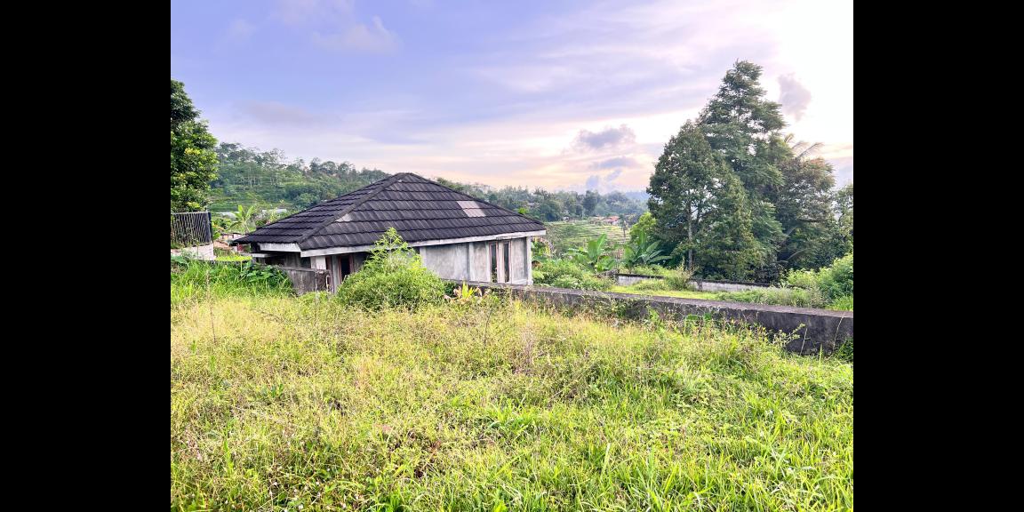 Tanah 1390m² Siap Bangun Villa Tepi Jl Kemuning- Tawangmangu Tanah 1390m² Siap Bangun Villa Tepi Jl Kemuning- Tawangmangu