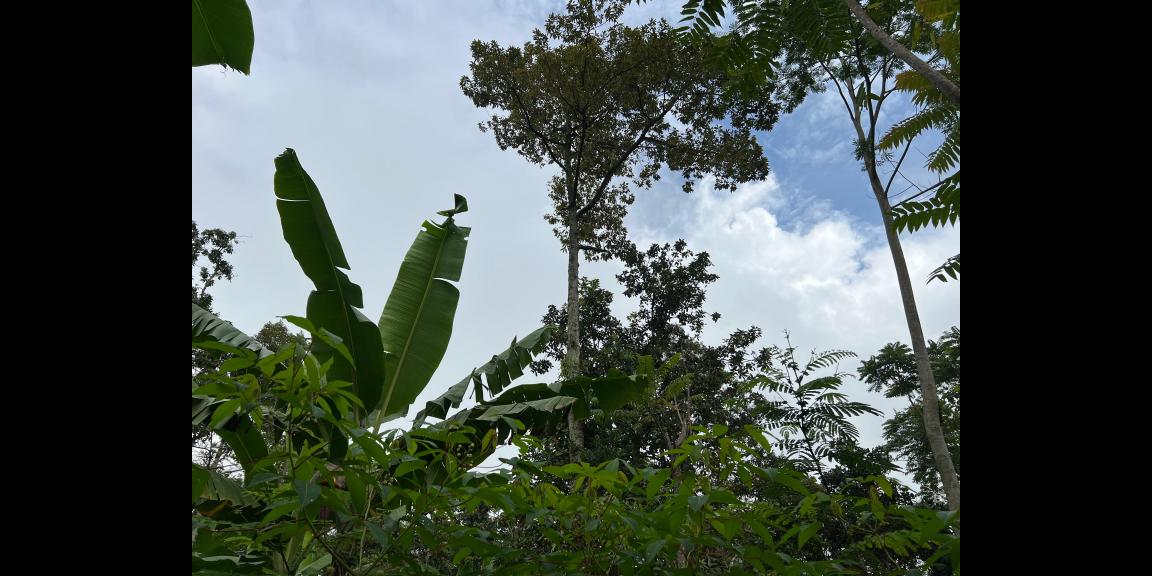 Tanah Datar Murah 500m 175Jt Jenawi Karanganyar Tanah Datar Murah 500m 175Jt Jenawi Karanganyar