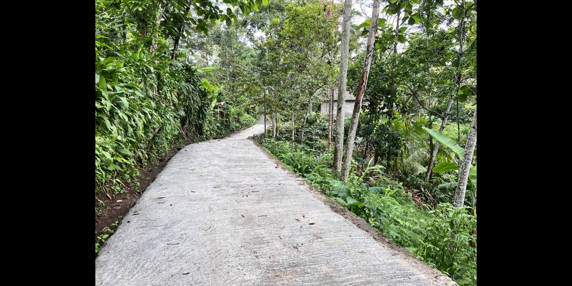 Kebun Durian Bonus Rumah Hanya 275 Juta Kemuning Kebun Durian Bonus Rumah Hanya 275 Juta Kemuning