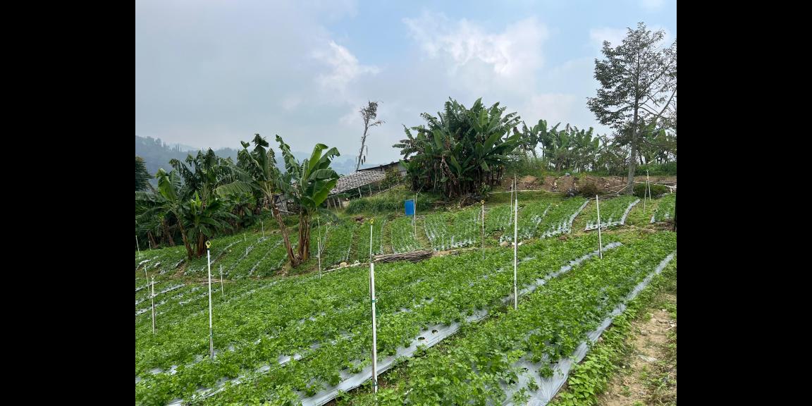 Tanah Kawasan Wisata Tawangmangu 2000m View Cantik Tanah Kawasan Wisata Tawangmangu 2000m View Cantik