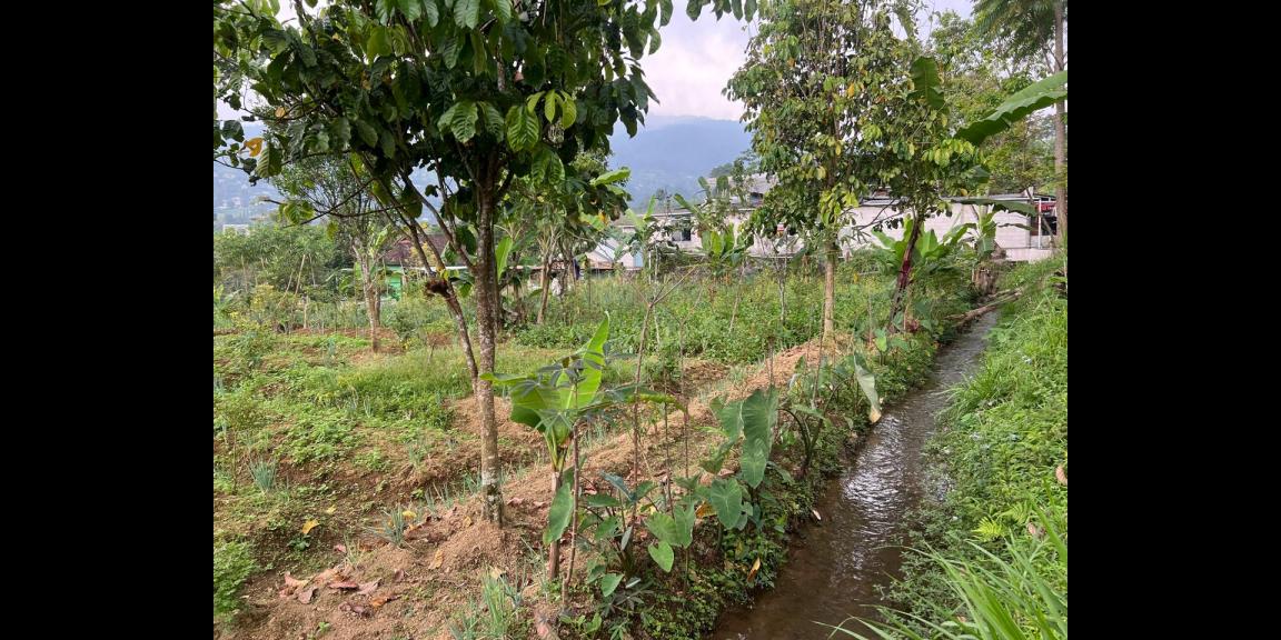 Tanah 2038m² Strategis Untuk Villa Wisata Karanganyar Tanah 2038m² Strategis Untuk Villa Wisata Karanganyar