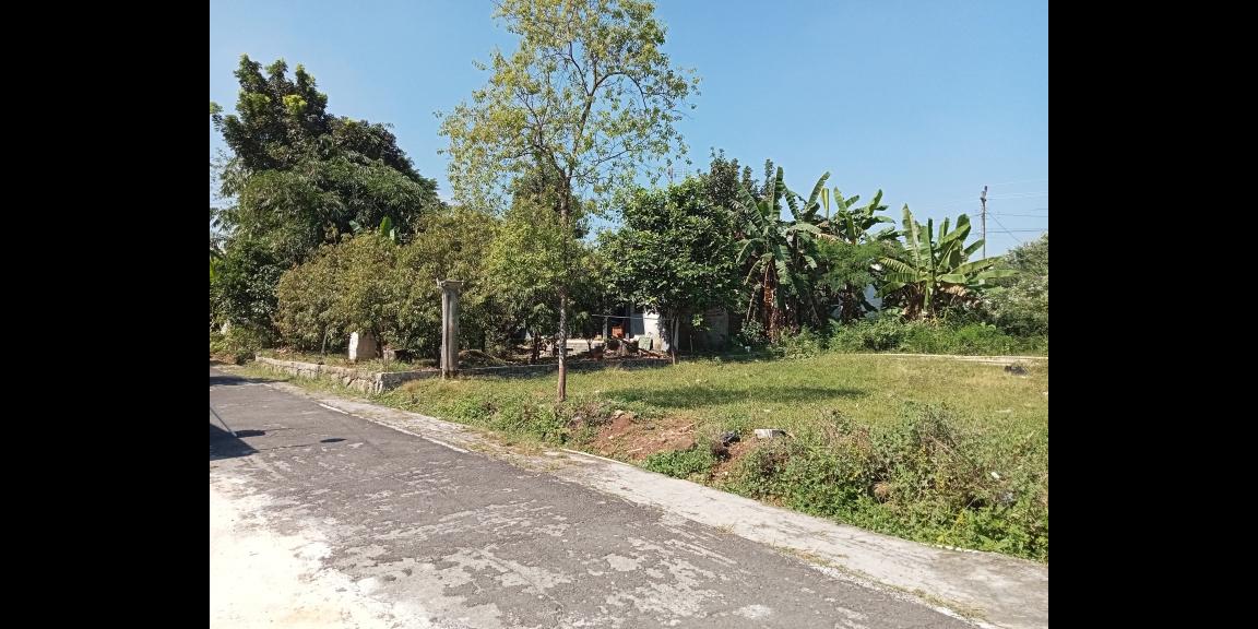 Tanah 515m² Siap Buka Usaha Tepi Jl Raya Batujamus-Jambangan Tanah 515m² Siap Buka Usaha Tepi Jl Raya Batujamus-Jambangan