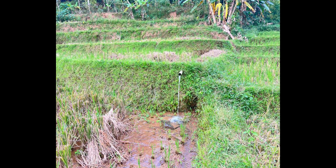 Tanah Subur 6000m² Kawasan Wisata Karangpandan Tanah Subur 6000m² Kawasan Wisata Karangpandan