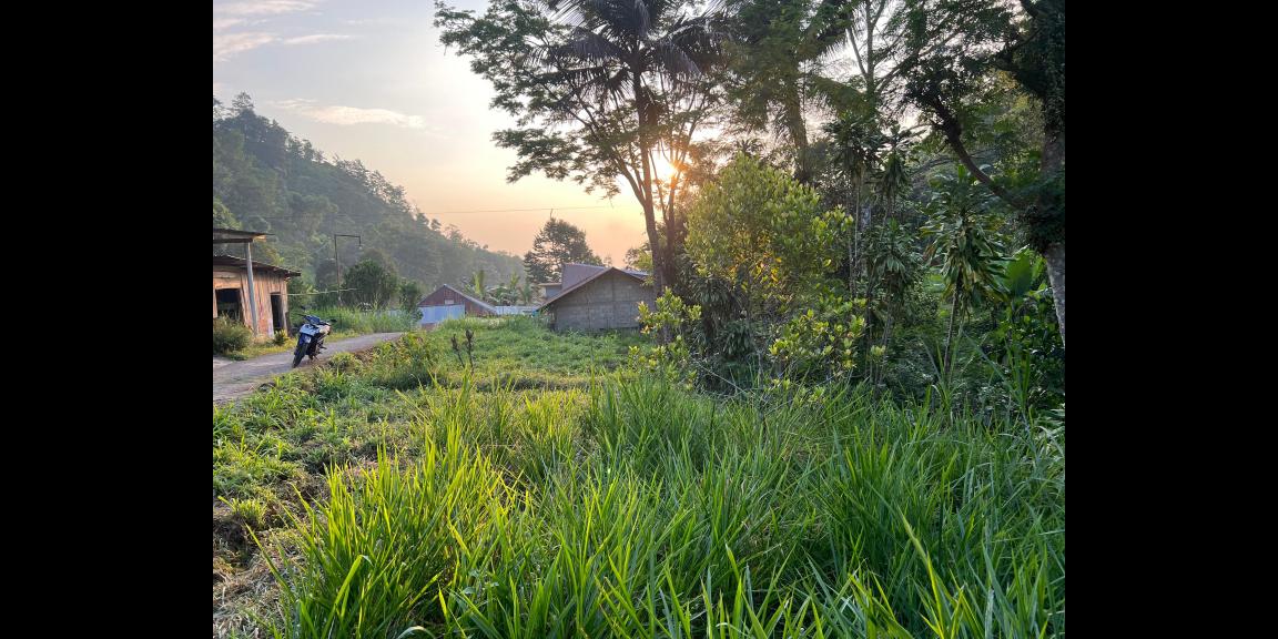 Tanah Istimewa Dekat Sungai 280m Jenawi Karanganyar Tanah Istimewa Dekat Sungai 280m Jenawi Karanganyar