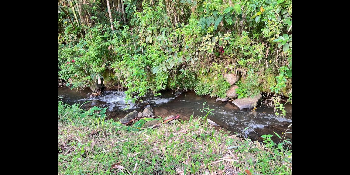 Tanah Strategis 1200 Timur Isykarima Tawangmangu Karanganyar Tanah Strategis 1200 Timur Isykarima Tawangmangu Karanganyar