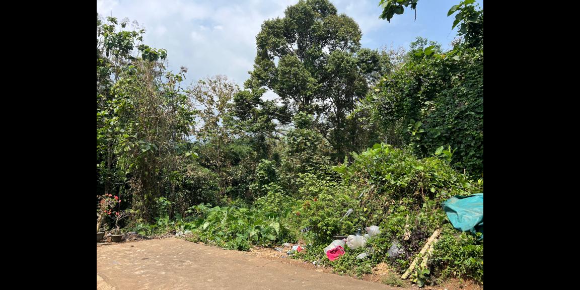 Dijual Tanah 2900m² Lingkungan Asri Karanganyar Dijual Tanah 2900m² Lingkungan Asri Karanganyar