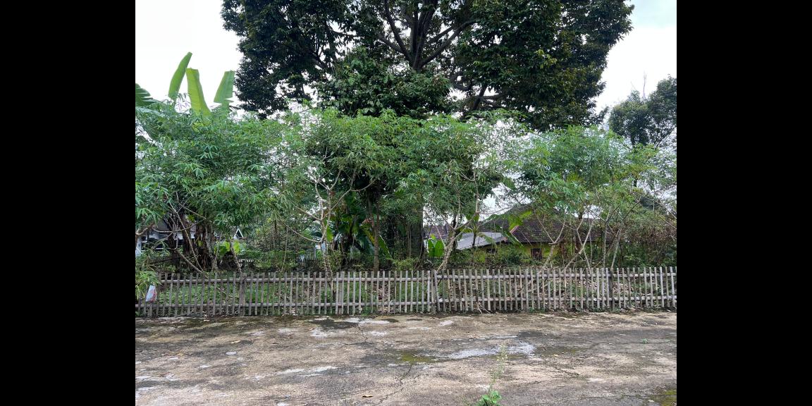 Tanah 439m² Kawasan Wisata Kemuning Cocok Untuk Villa Tanah 439m² Kawasan Wisata Kemuning Cocok Untuk Villa