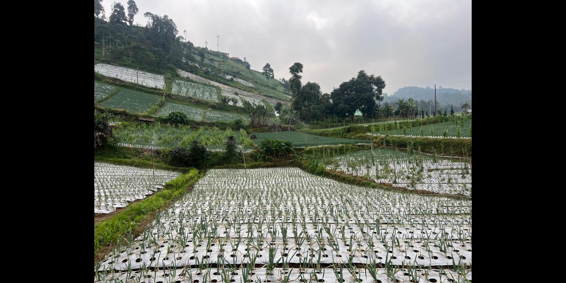 Tanah 480m² View Tanpa Halang Cocok Untuk Villa Kemuning Tanah 480m² View Tanpa Halang Cocok Untuk Villa Kemuning