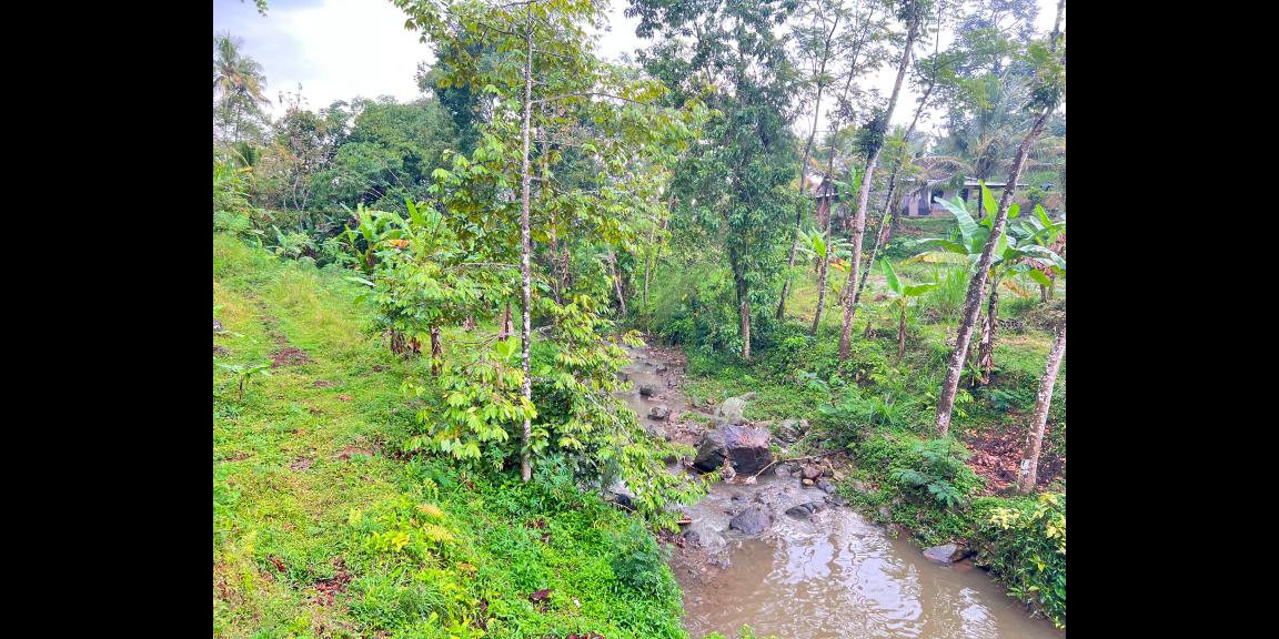 Tanah 1690m² Dekat Aliran Sungai Ngargoyoso Tanah 1690m² Dekat Aliran Sungai Ngargoyoso