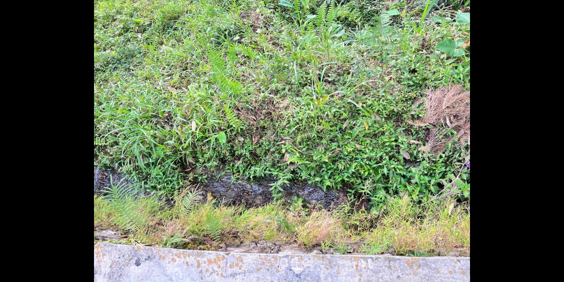 Tanah View Perbukitan 539m Utara Candi Cetho Karanganyar Tanah View Perbukitan 539m Utara Candi Cetho Karanganyar