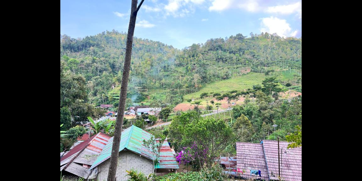 Tanah 817m² Udara Dingin Utara Jembatan Kaca Karanganyar Tanah 817m² Udara Dingin Utara Jembatan Kaca Karanganyar