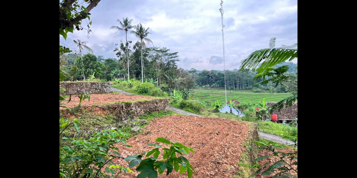 Tanah 1,2 Hektar Strategis Dekat Pasar Karangpandan Tanah 1,2 Hektar Strategis Dekat Pasar Karangpandan