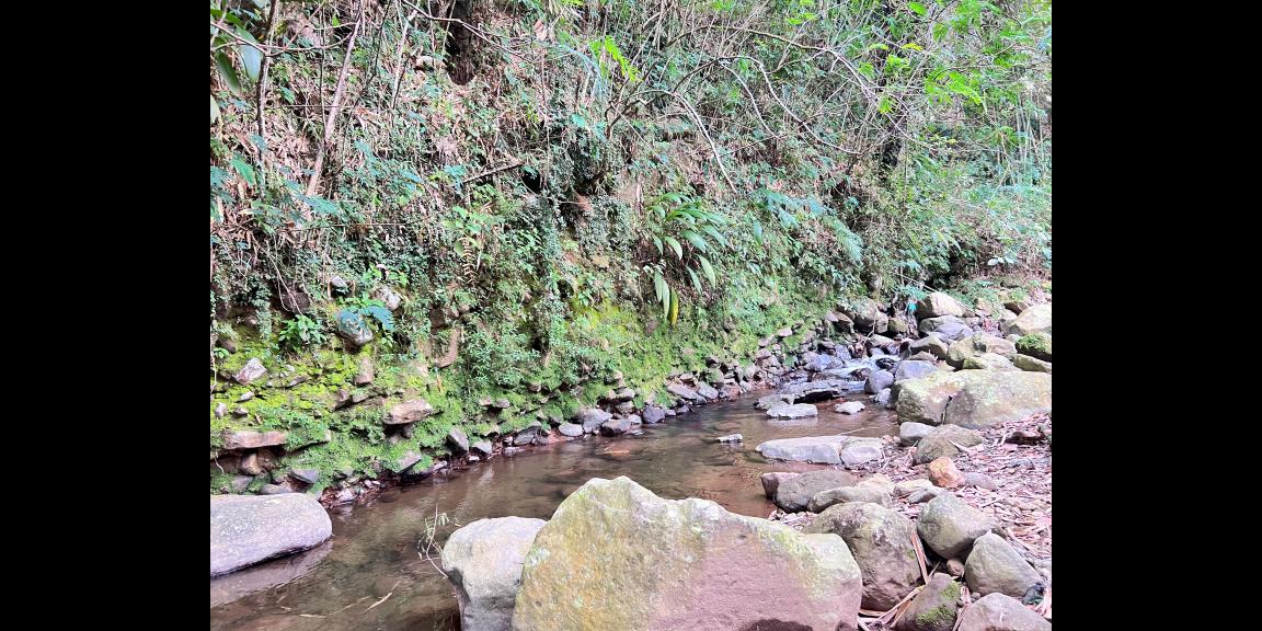 Tanah 2 Hektar Dekat Aliran Sungai Karanganyar Tanah 2 Hektar Dekat Aliran Sungai Karanganyar