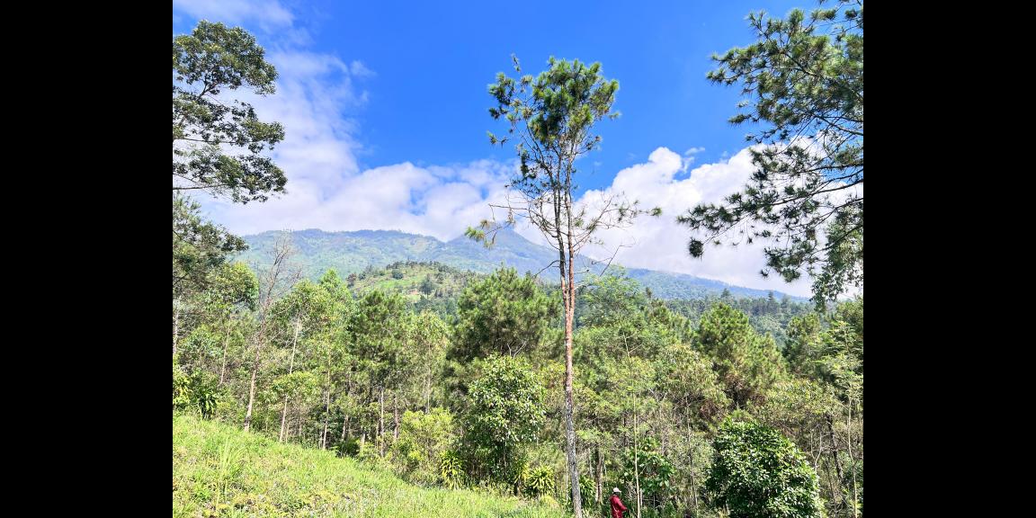 Tanah 4 Hektar Siap Bangun Wahana Wisata Karanganyar Tanah 4 Hektar Siap Bangun Wahana Wisata Karanganyar