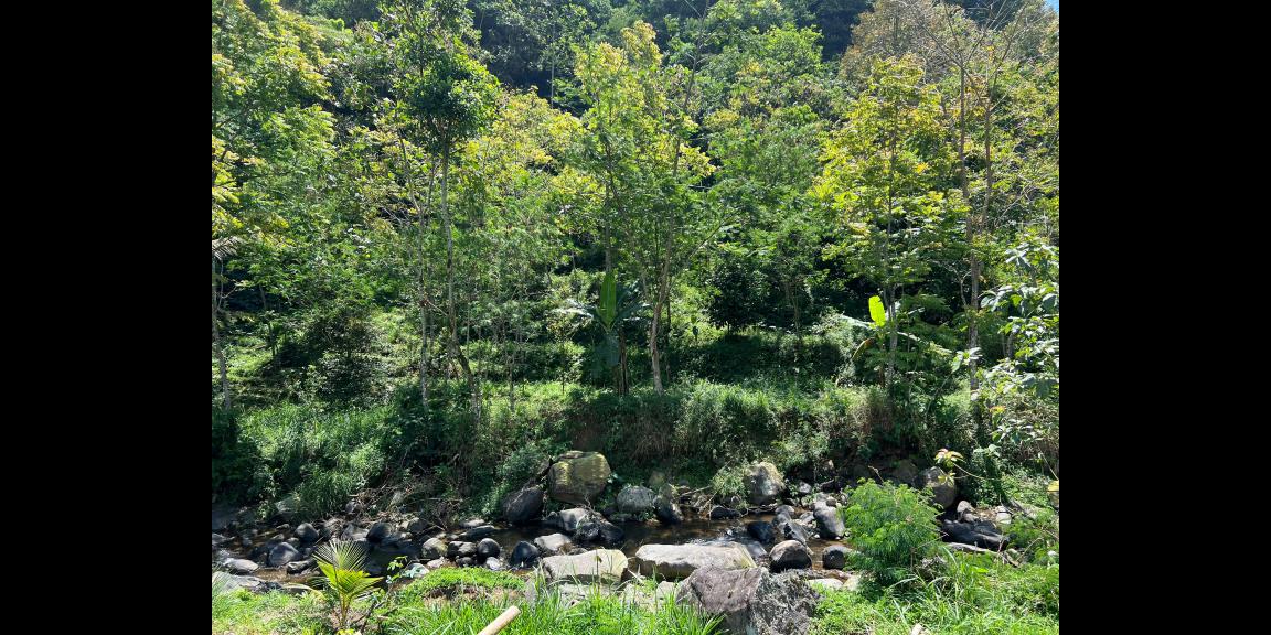 Tanah Dekat Sungai 3929m² Utara Jembatan Kaca Kemuning Tanah Dekat Sungai 3929m² Utara Jembatan Kaca Kemuning