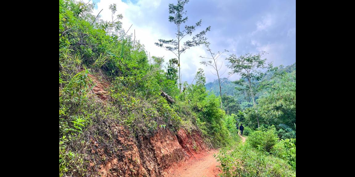 Tanah Istimewa 1 Hektar 500Juta Utara Candi Cetho Karanganyar Tanah Istimewa 1 Hektar 500Juta Utara Candi Cetho Karanganyar
