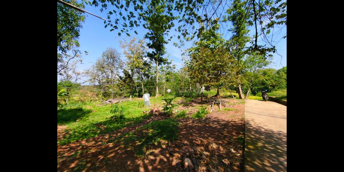 Tanah 750m² Cocok Untuk Villa Ngargoyoso Karanganyar Tanah 750m² Cocok Untuk Villa Ngargoyoso Karanganyar