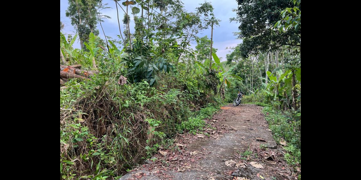 Tanah 1355m² 300 Juta Utara Pasar Matesih Karanganyar Tanah 1355m² 300 Juta Utara Pasar Matesih Karanganyar