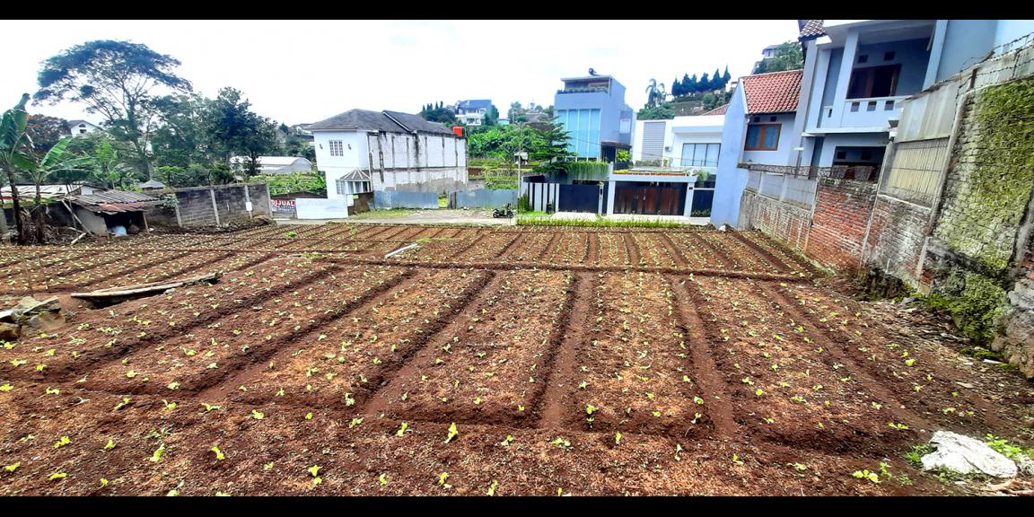 TANAH UNTUK RUMAH TINGGAL ATAU VILLA DI SAYAP SERSAN BAJURI KOTA BANDUNG TANAH UNTUK RUMAH TINGGAL ATAU VILLA DI SAYAP SERSAN BAJURI KOTA BANDUNG