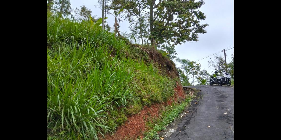 Tanah 90 Juta Udara Dingin Ngargoyoso  Tanah 90 Juta Udara Dingin Ngargoyoso