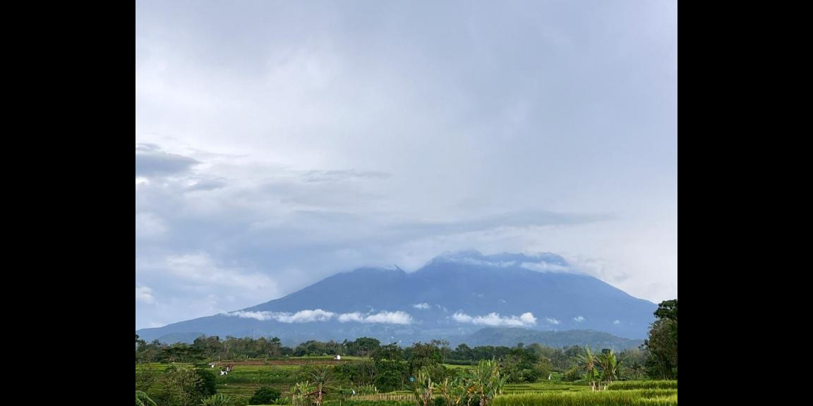 Tanah Sawah 3592m² View Gunung Kerjo Karanganyar Tanah Sawah 3592m² View Gunung Kerjo Karanganyar