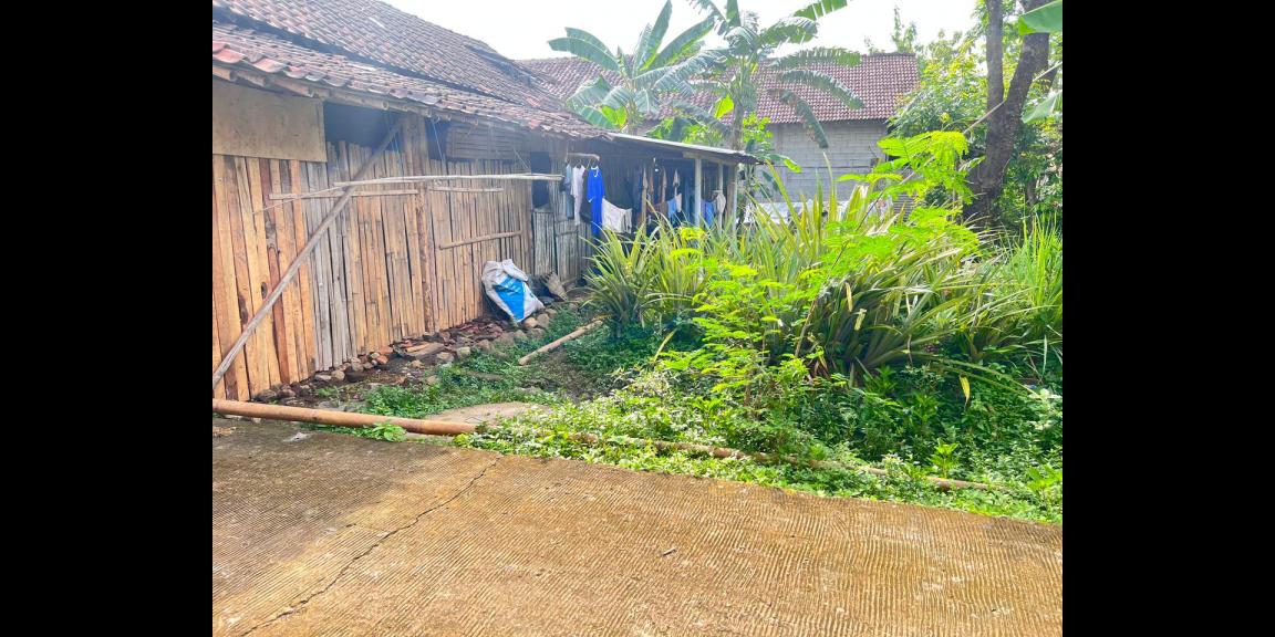 Tanah 55 Juta Dekat Pasar Jambangan Kedawung Sragen Tanah 55 Juta Dekat Pasar Jambangan Kedawung Sragen