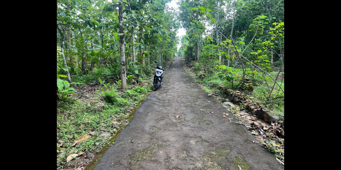 Tanah Datar 2293m² 300 Juta Karanganyar Tanah Datar 2293m² 300 Juta Karanganyar