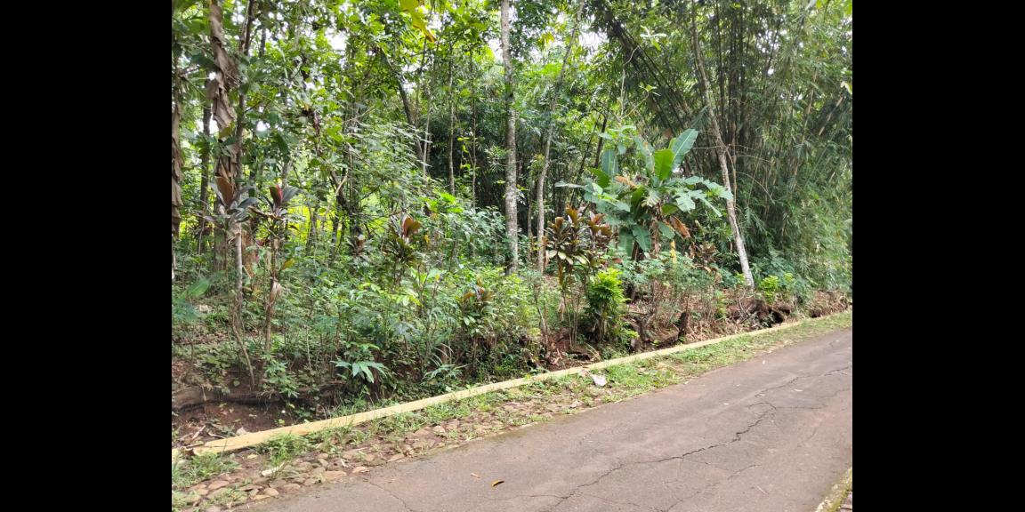 Tanah Datar 1000m² Siap Bangun Karanganyar Tanah Datar 1000m² Siap Bangun Karanganyar