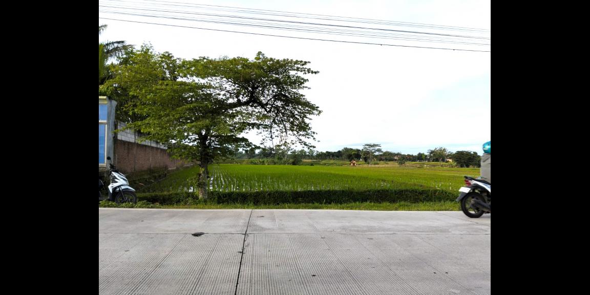 Tanah 4471m² Strategis Tepi Jl Raya Batujamus- Jambangan Solo Tanah 4471m² Strategis Tepi Jl Raya Batujamus- Jambangan Solo