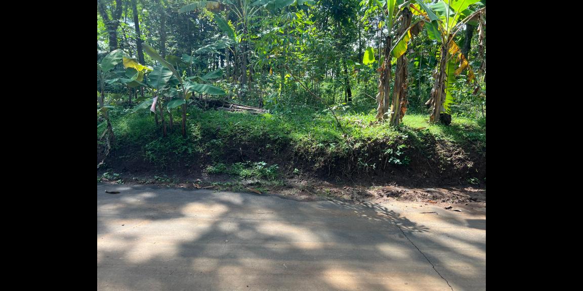 Tanah Datar 400m Utara Kantor Kecamatan Kerjo Tanah Datar 400m Utara Kantor Kecamatan Kerjo